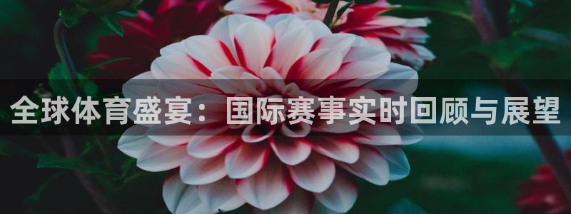 全球体育盛宴：国际赛事实时回顾与展望