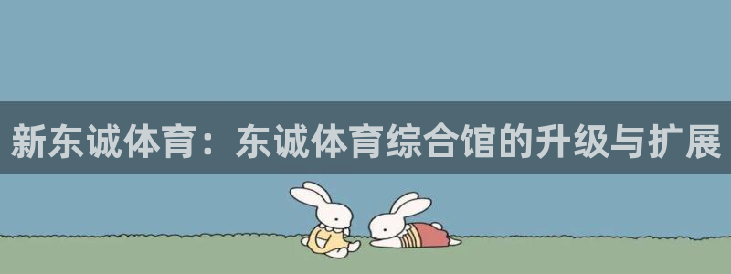 新东诚体育：东诚体育综合馆的升级与扩展