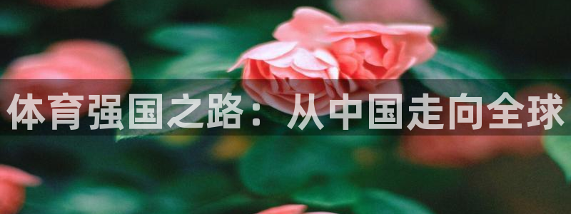 体育强国之路：从中国走向全球