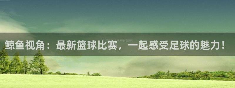 鲸鱼视角：最新篮球比赛，一起感受足球的魅力！