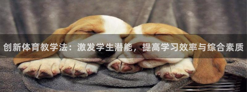 创新体育教学法：激发学生潜能，提高学习效率与综合素质