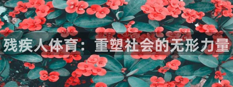 残疾人体育：重塑社会的无形力量