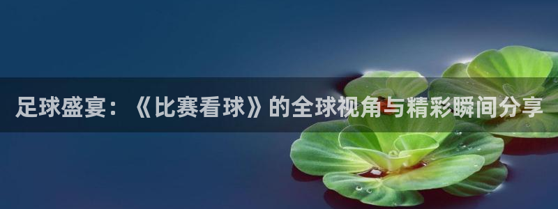 足球盛宴：《比赛看球》的全球视角与精彩瞬间分享