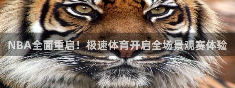500足球混合过关