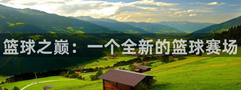 500官方网站：篮球之巅：一个全新的篮球赛场