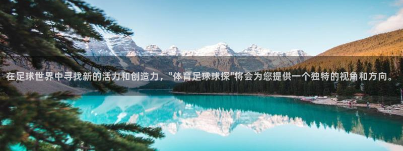 完场比分500 即时比分：在足球世界中寻找新的活力和创造力，\
