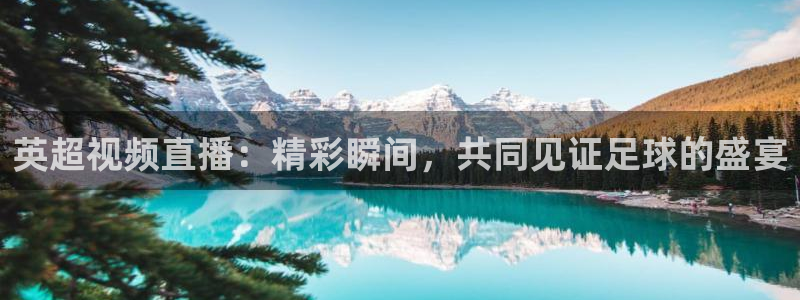 足球比分即时查询500：英超视频直播：精彩瞬间，共同见证足球的盛宴