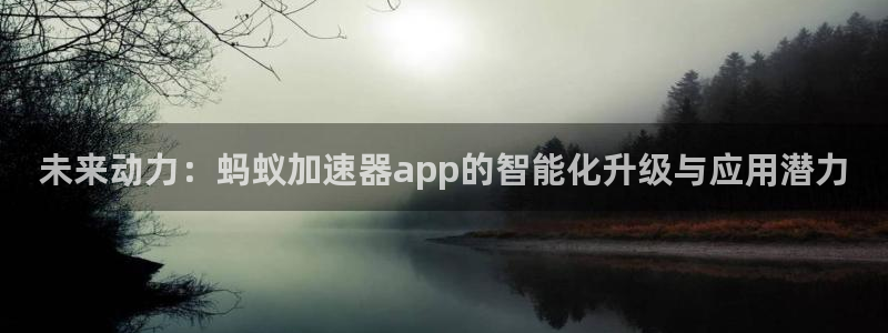 篮球比分网即时比分结果500：未来动力：蚂蚁加速器app的智能化升级与应用潜力