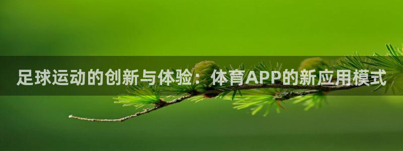 500体育平均指数：足球运动的创新与体验：体育APP的新应用模式